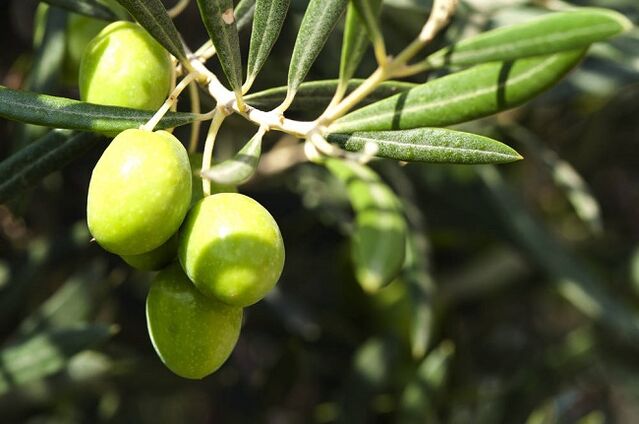 the benefits of eating olives on a ketogenic diet